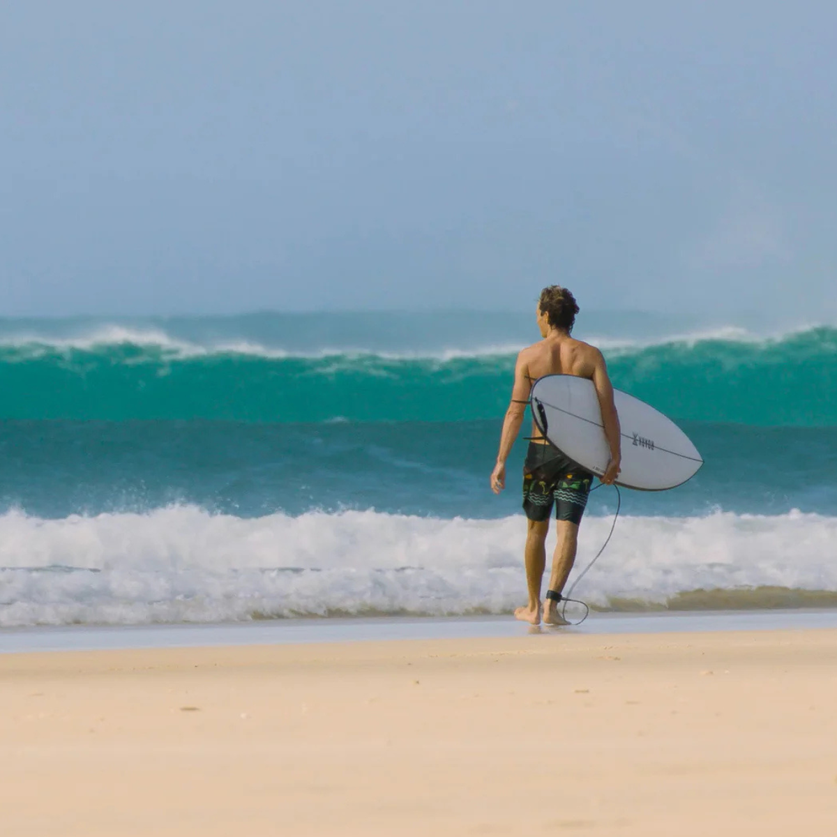 JS Industries El Baron