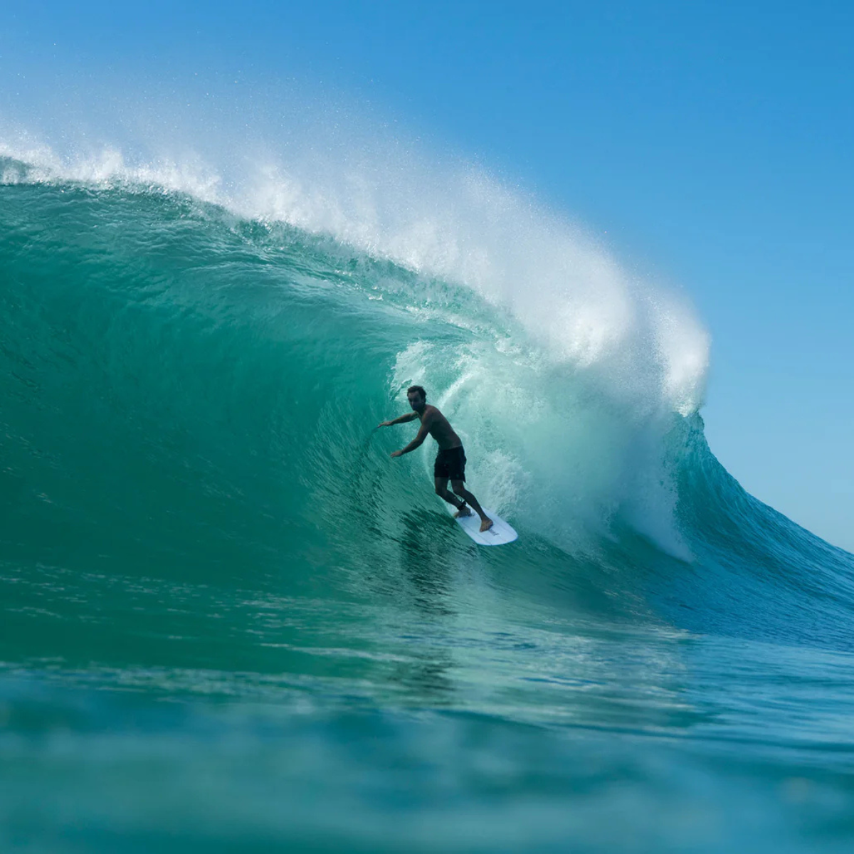 JS Industries Big Baron