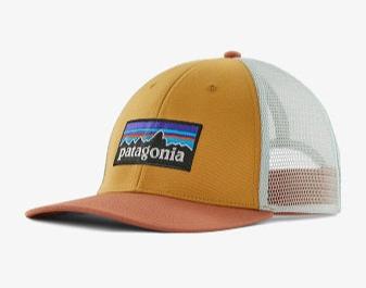 Patagonia P-6 Logo LoPro Trucker Cap