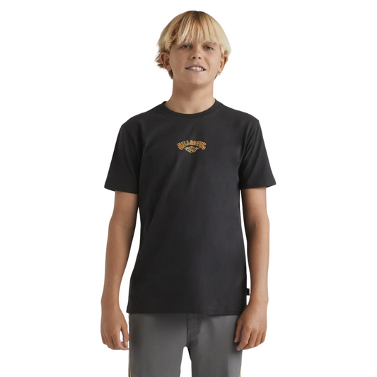 Billabong Boys Rose Arch T-Shirt - Washed Black
