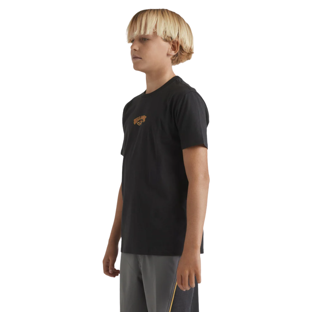 Billabong Boys Rose Arch T-Shirt - Washed Black