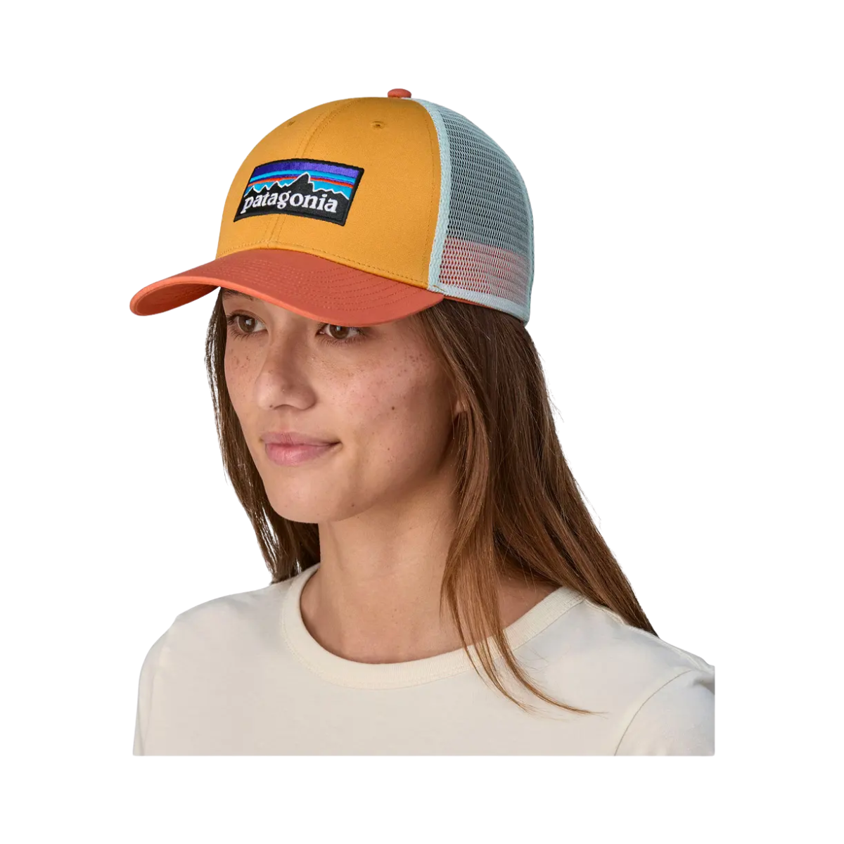 Patagonia P-6 Logo LoPro Trucker Cap