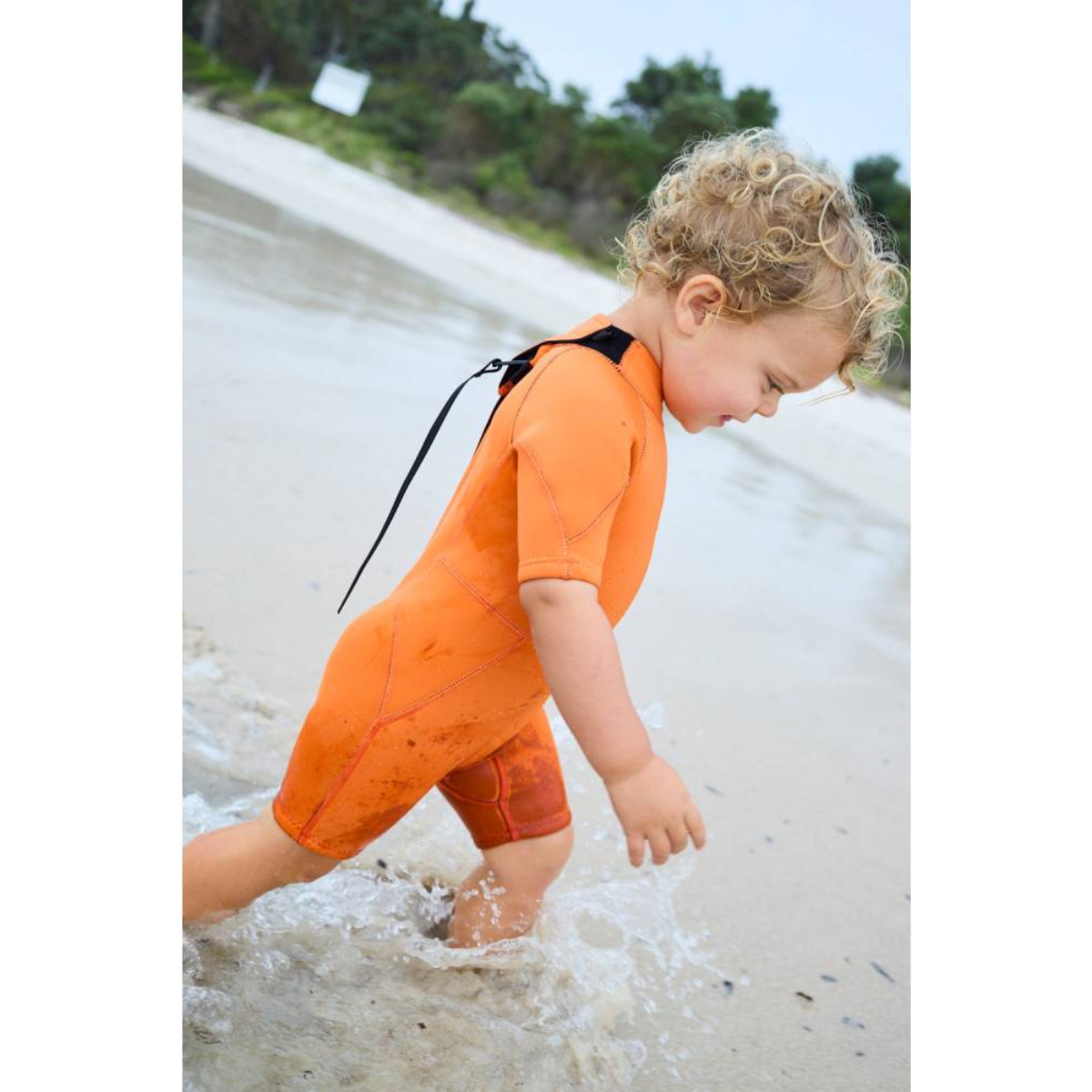 Cub 1.5mm Toddlers Springsuit - Flame Orange