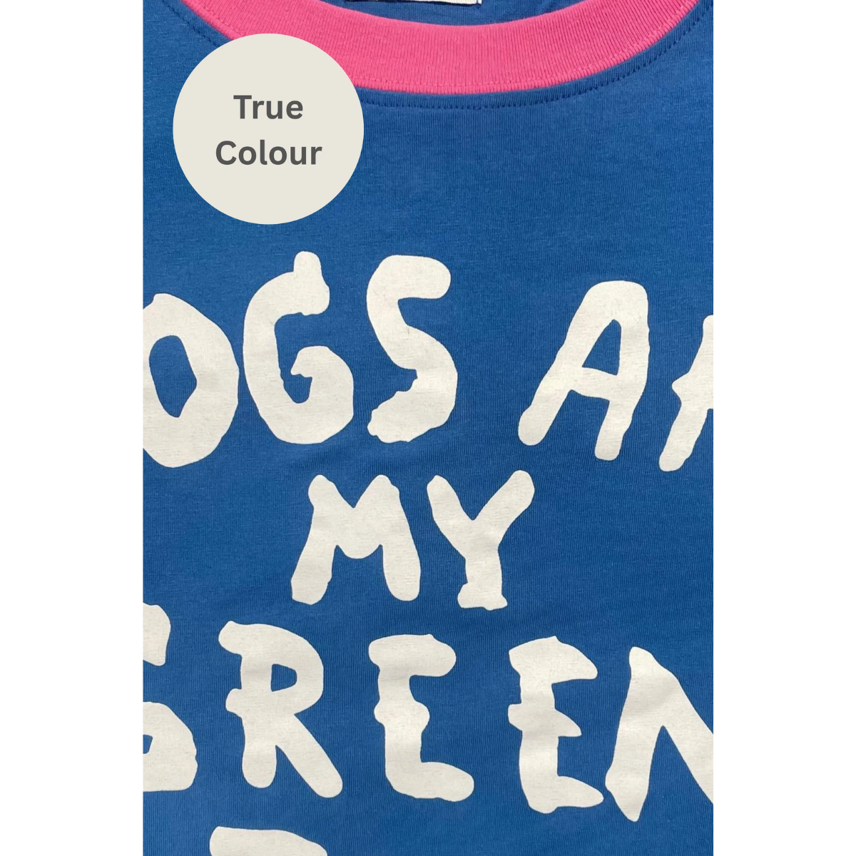 Sabbi The Very Oversized Green Flag Tee - Blue