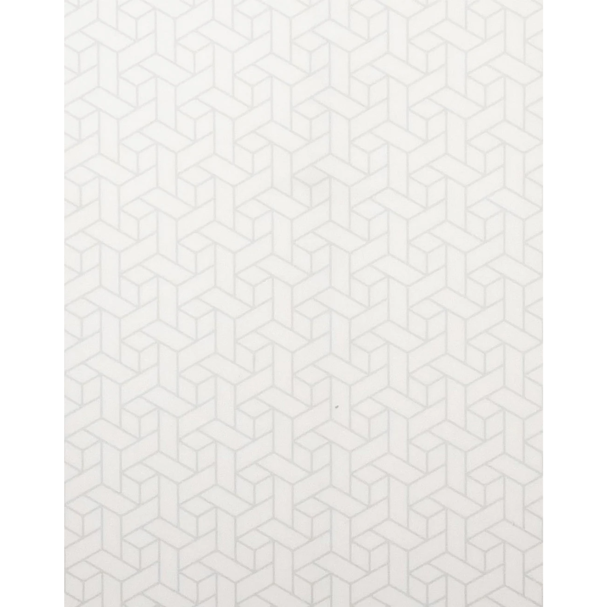 Modern Falcon - TMRW Tech