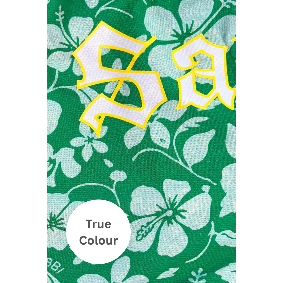 Sabbi The Altos Shorts - Sailor Green
