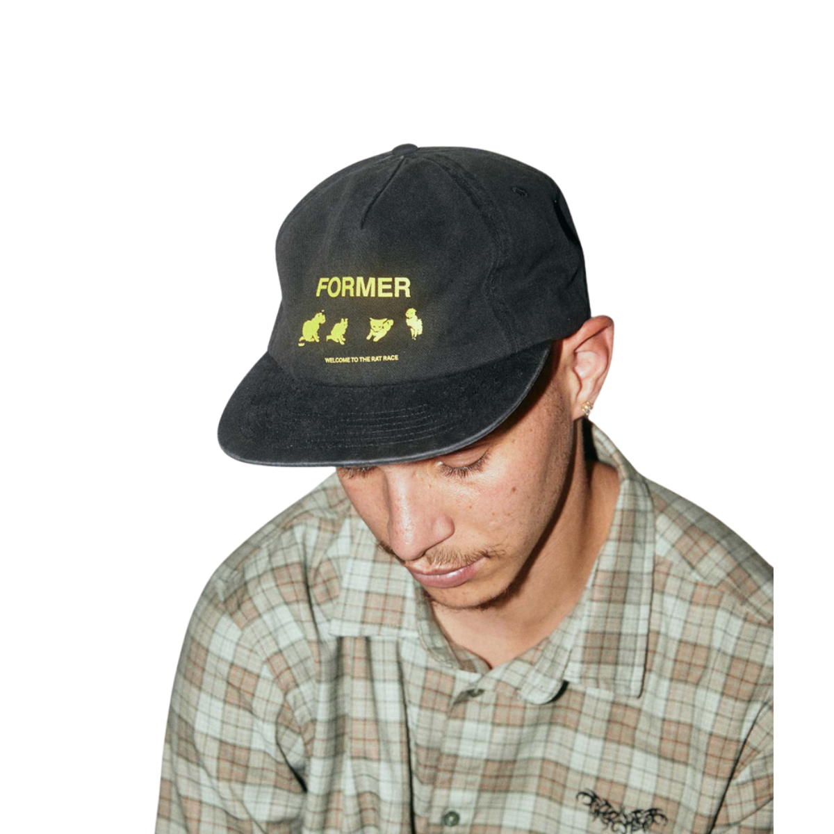 Former Kitty Litter Cap