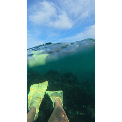 DaFin Zak Noyle Wawamalu